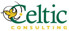 2Celtic-Consulting-logo-final-Copy-300x137